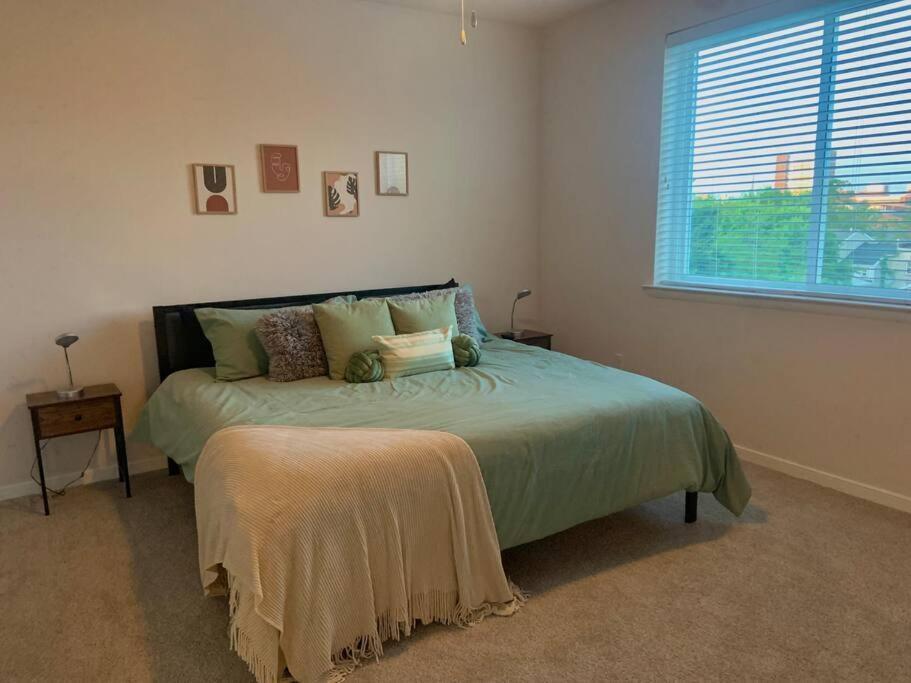 Contemporary Cozy *