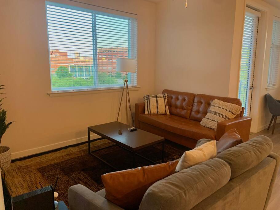 Contemporary Cozy